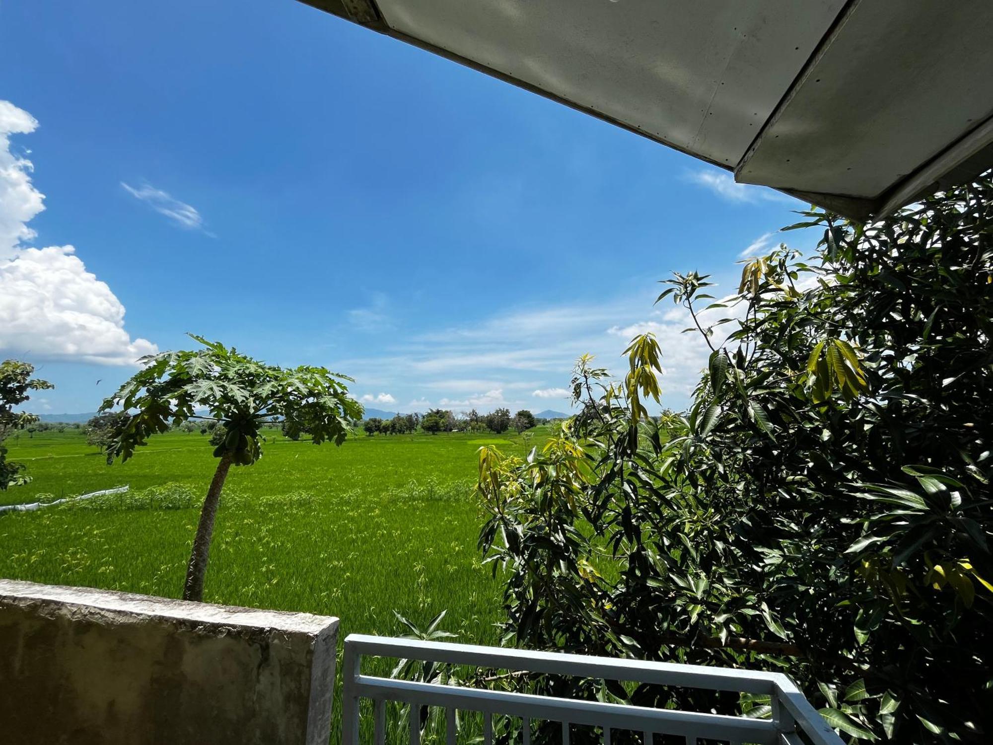 Alan'S Homestay Kuripan (West Nusa Tenggara) Exterior foto